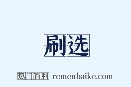 刷选是什么意思的图片